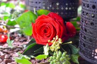 ein Bild aus dem Album