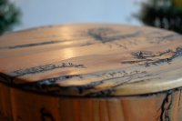 ein Bild aus dem Album