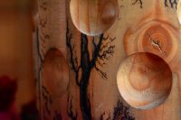 ein Bild aus dem Album