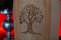 ein Bild aus dem Album