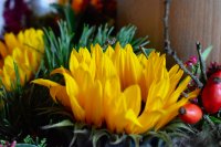 ein Bild aus dem Album