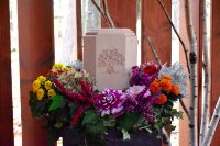 ein Bild aus dem Album